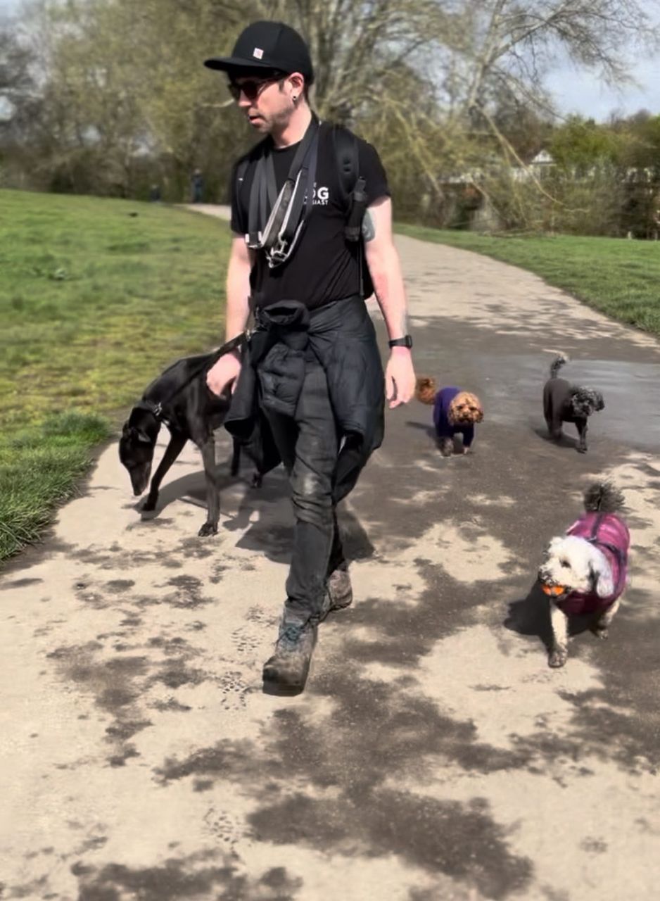 Chris walking a small group of dogs
